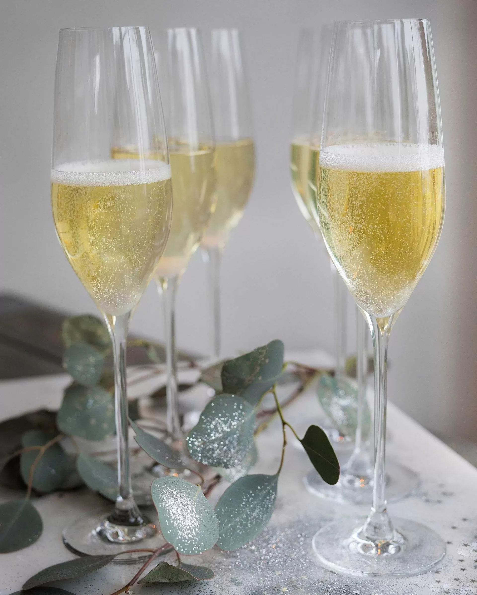 Holmegaard Champagneglass*Cabernet Champagneglass 29 Cl 6-Pakning