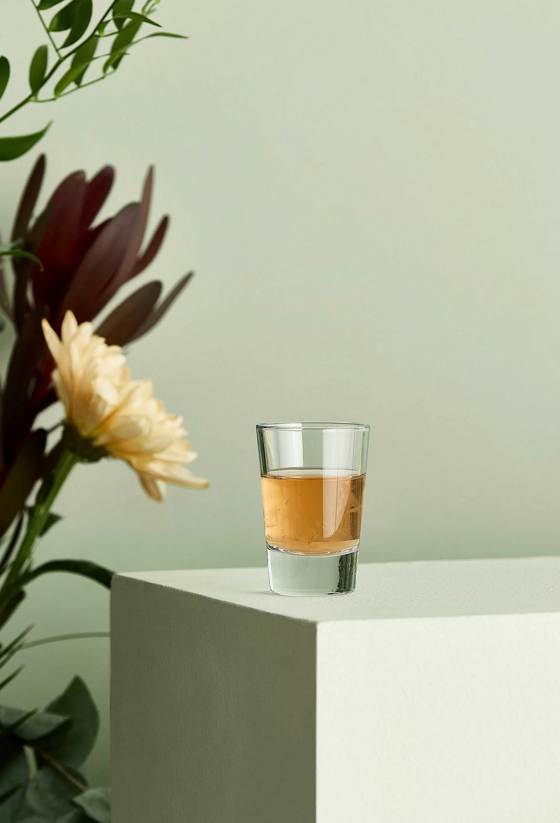 Aida Drammeglass*Cafe Shotglass 6,2 Cl
