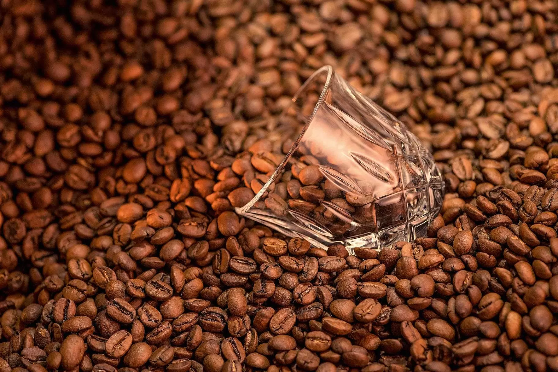 Nachtmann Gløggkopper*Noblesse Barista Espresso Glass 9 Cl 2-Pakning